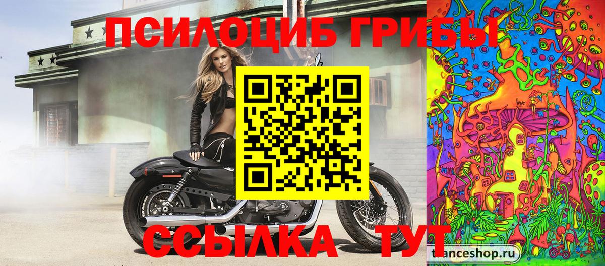 ГАШ Похвистнево