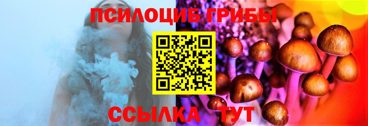 Псилоцибиновые грибы Cubensis  Вход с VPN  Галлюциногенные грибы мицелий  Похвистнево 